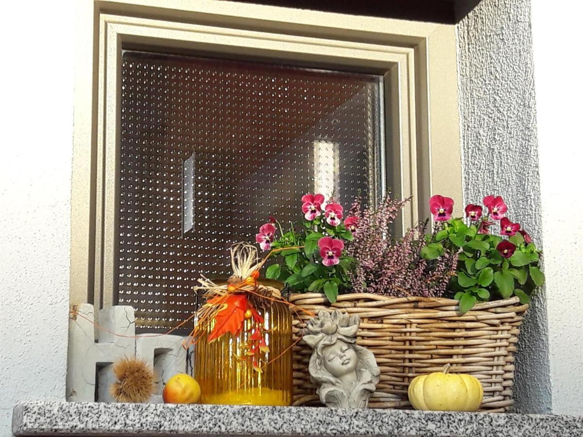 Ferienwohnung Am Gaesschen Losheim Extérieur photo